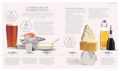 The Science of Fermentation