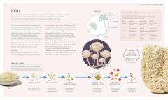 The Science of Fermentation