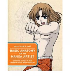 Basic Anatomy for the Manga Artist