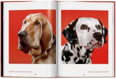 Walter Chandoha. Dogs