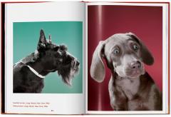 Walter Chandoha. Dogs