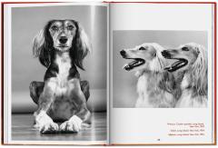 Walter Chandoha. Dogs