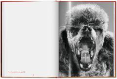 Walter Chandoha. Dogs
