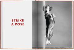 Walter Chandoha. Dogs