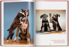 Walter Chandoha. Dogs