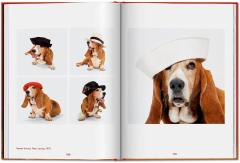 Walter Chandoha. Dogs