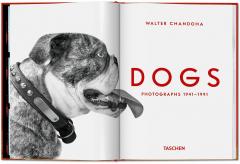 Walter Chandoha. Dogs