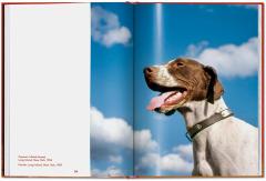 Walter Chandoha. Dogs