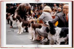 Walter Chandoha. Dogs