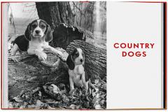Walter Chandoha. Dogs