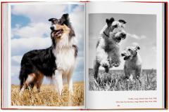 Walter Chandoha. Dogs