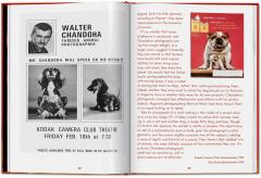 Walter Chandoha. Dogs