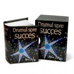 Drumul spre succes