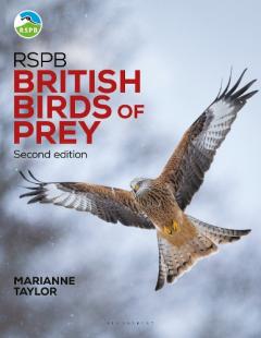 RSPB British Birds of Prey: New Edition