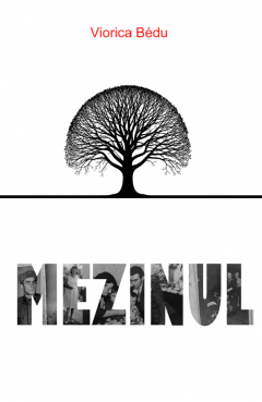 Mezinul