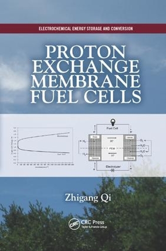Proton Exchange Membrane Fuel Cells - China) Hubei Ltd Zhigang (Wuhan ...