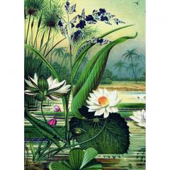 Puzzle 1000 de piese - The Dybdahl Co. - Water Lilies
