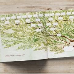 Arborele genealogic al familiei noastre