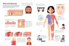 The Ultimate Book of the Human Body