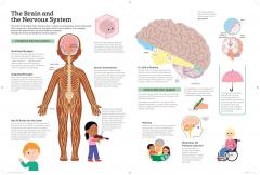 The Ultimate Book of the Human Body