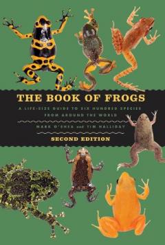 Book of Frogs