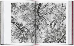 Sebastio Salgado. Genesis