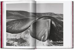 Sebastio Salgado. Genesis