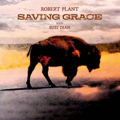Saving Grace - Vinyl