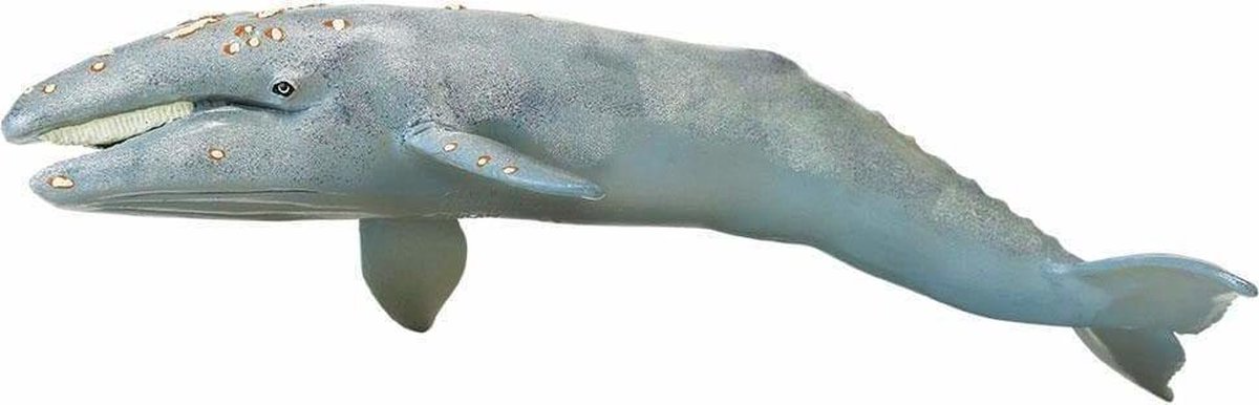 Figurina - Balena Cenusie - Safari