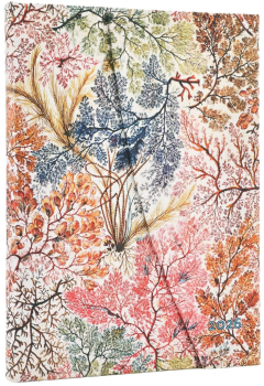 Agenda 2026 - Paperblanks - Anemone (William Kilburn) - Midi 12-Month Horizontal Hardcover Flexi