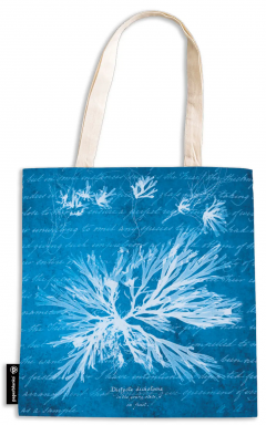 Sacosa - Anna Atkins’ Cyanotypes - Sea Flowers