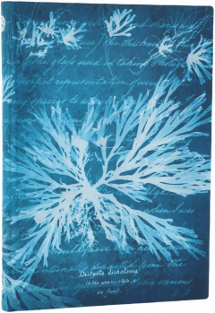 Carnet - Anna Atkins’ Cyanotypes - Sea Flowers - Midi, Softcover, Lined, Elastic Band