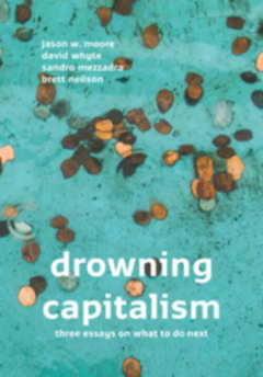 Coperta cărții Drowning Capitalism