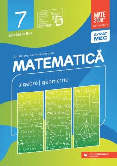 Matematica. Consolidare clasa a VII-a (Algebra, geometrie) - Partea II