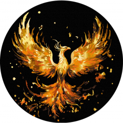 Set pictura pe numere - Phoenix renascand