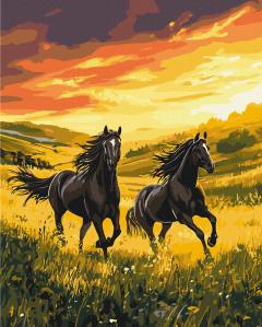 Set pictura pe numere - Cai in fuga