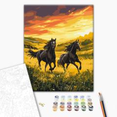 Set pictura pe numere - Cai in fuga