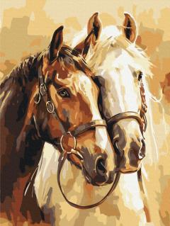 Set pictura pe numere - Cai nobili