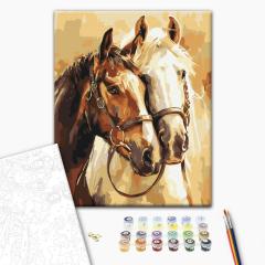 Set pictura pe numere - Cai nobili