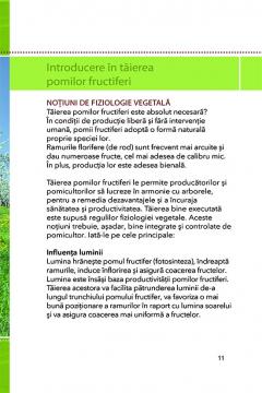 Taierea pomilor fructiferi