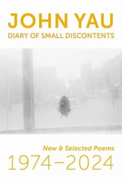 Coperta cărții Diary of Small Discontents