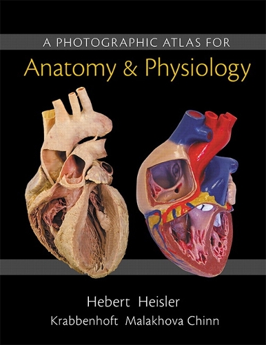 Photographic Atlas for Anatomy & Physiology, A - Nora Hebert, Ruth