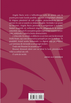 I-am scris lui Brauner un poem