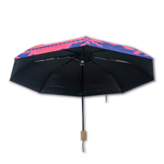 Umbrela - Motiv traditional - Neamt, 2 culori