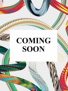 Calatrava. Complete Works 1979–Today. 45th Ed.