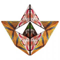 Puzzle 3D - Shashibo - Savanna