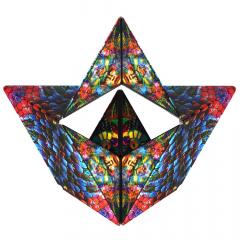 Puzzle 3D - Shashibo - Chameleon