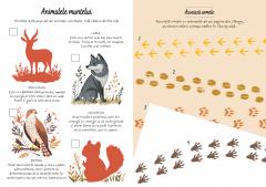 Aventuri la munte - Activitati si abtibilduri