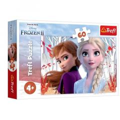 Puzzle 60 de piese - Frozen II - Ana si Elsa