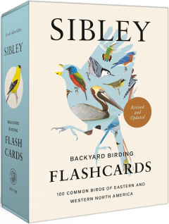 Sibley Backyard Birding Flashcards